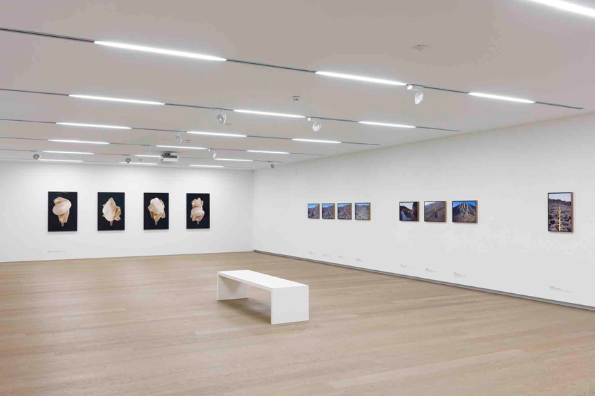 MOMENTUM Über die Kunst, die Zeit anzuhalten
