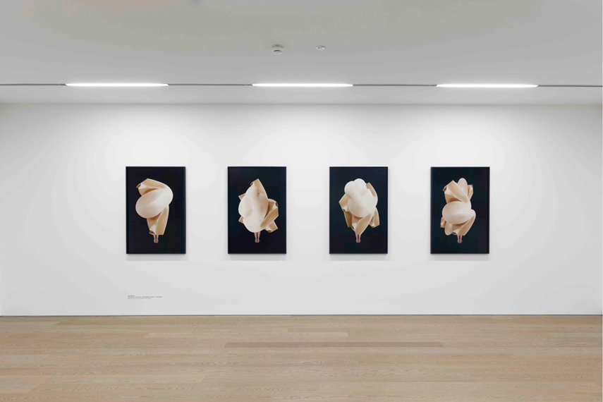 MOMENTUM Über die Kunst, die Zeit anzuhalten